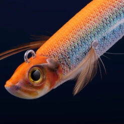 Turlutte Ultra Coulante TYP RUN EBIFISH 3.0/120 Flashy Orange Pêche Calamar -Pêche En Mer Boutique turlutte ultra coulante typ run ebifish 30120 flashy orange peche calamar 2